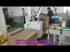 2078 P6 Paletisasi Cangkir Hisap Tangan Mekanik-2