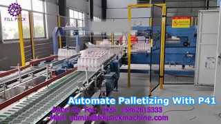 2299 P41 Palletizer Gantri