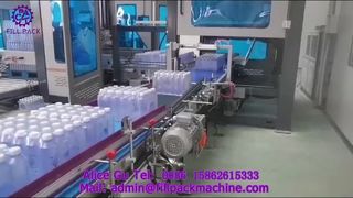 2306 P42 Palletizer Gantri
