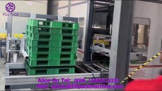 2307 P42 Lini Produksi Palletisasi Gantry Pengemasan Karton