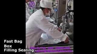 2108 L14 Mesin Pengisian dan Penyegelan Bag-in-Box Satu Kepala Semi-Otomatis